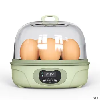 Incubadora De 6 Ovos Automática Pequena Incubadora De Ovos Para Incubação, Máquina De Incubação De Frango Pato